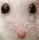 Avatar de Usuario