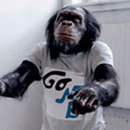 Avatar de Usuario